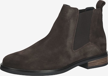 CLARKS Chelsea Boots in Brown: front