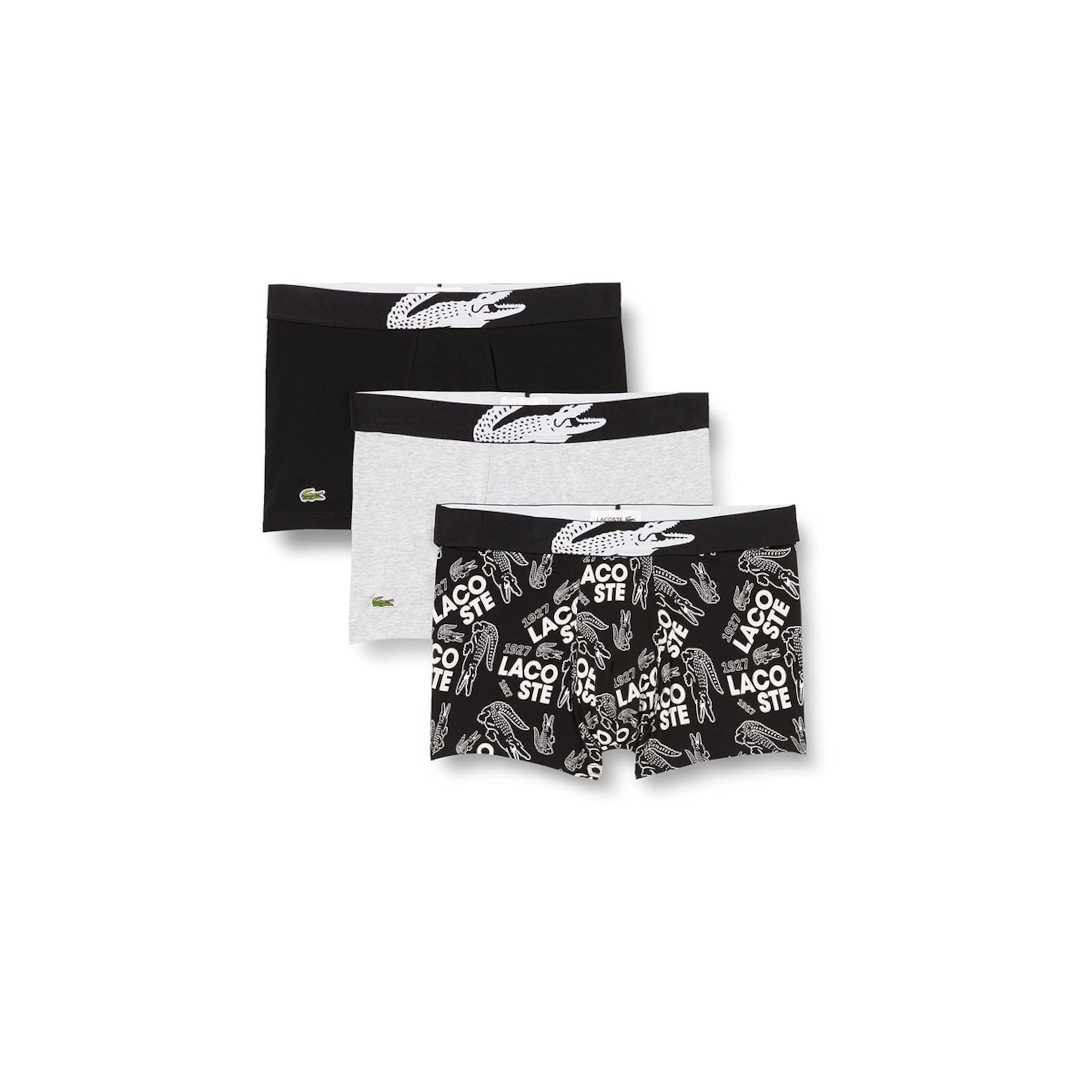 LACOSTE Boxershorts in Grau: Vorderseite
