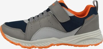 GEOX Sneakers 'Bernie' in Grey: front