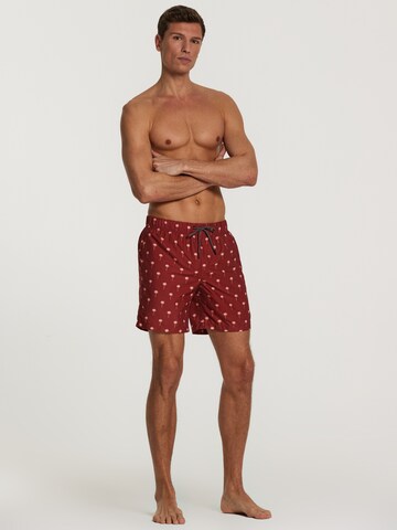 Shorts de bain Shiwi en marron