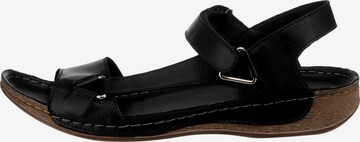 Andrea conti sandalen - Die hochwertigsten Andrea conti sandalen im Vergleich!