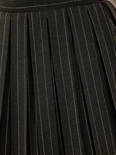 Hiccup Skirt in Dark grey / White, Item view