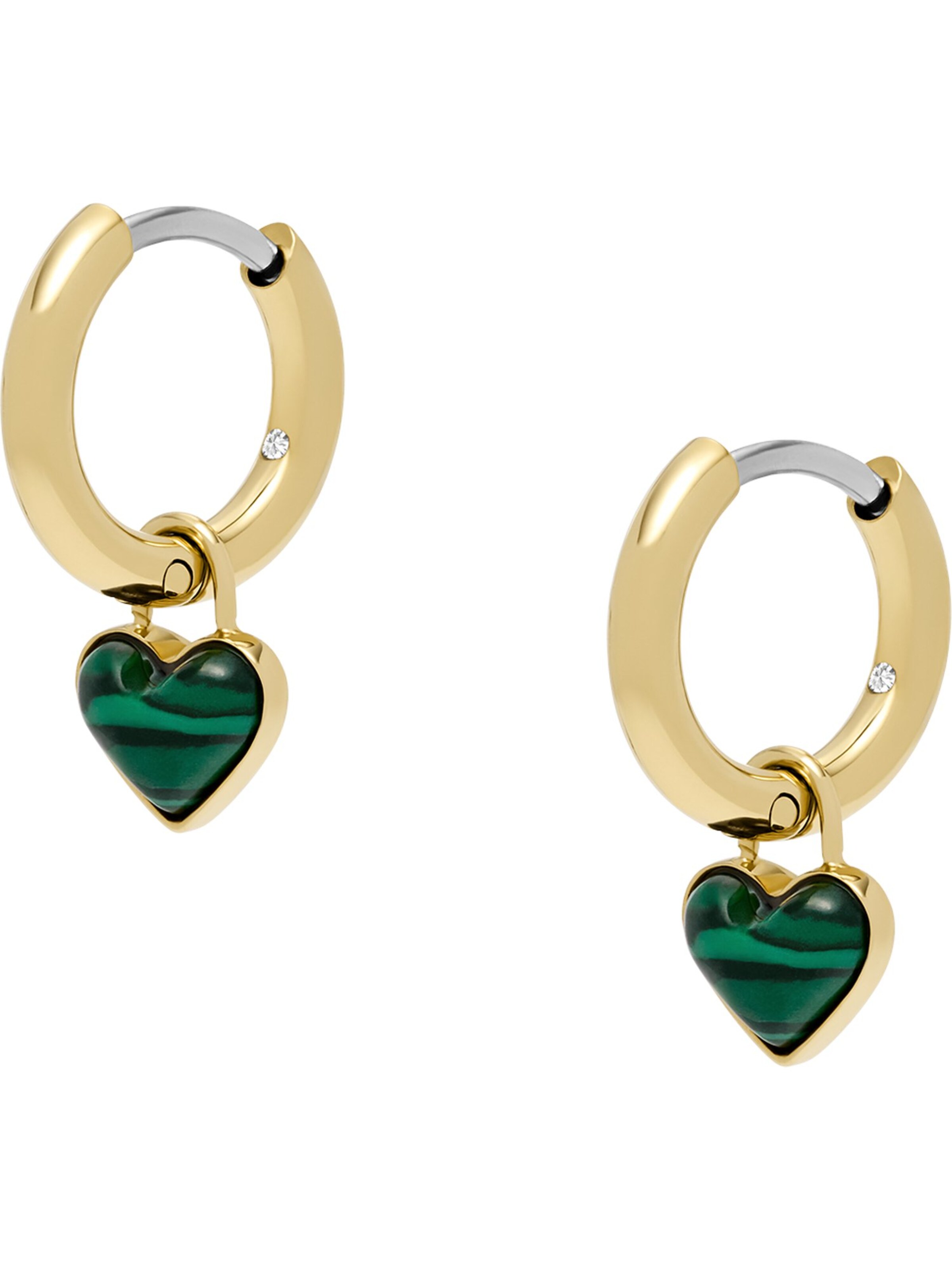 FOSSIL Ohrringe in Gold