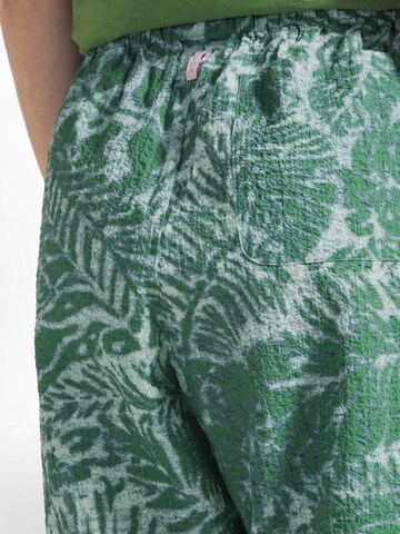 DEHA Regular Hose in Grün