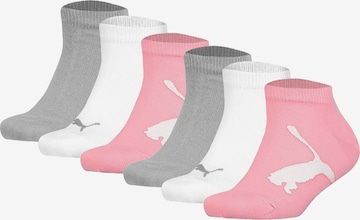 PUMA Socken in Grau: Vorderseite