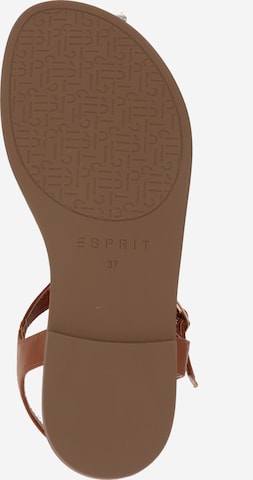 ESPRIT T-Bar Sandals in Brown
