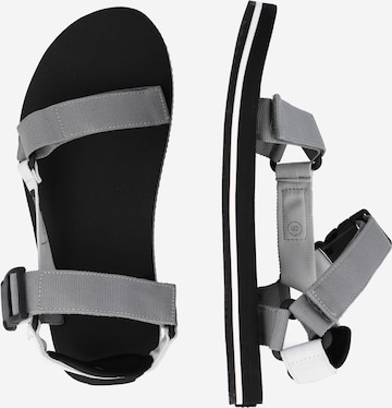 LEVI'S ® Sandal 'TAHOE REFRESH' i grå