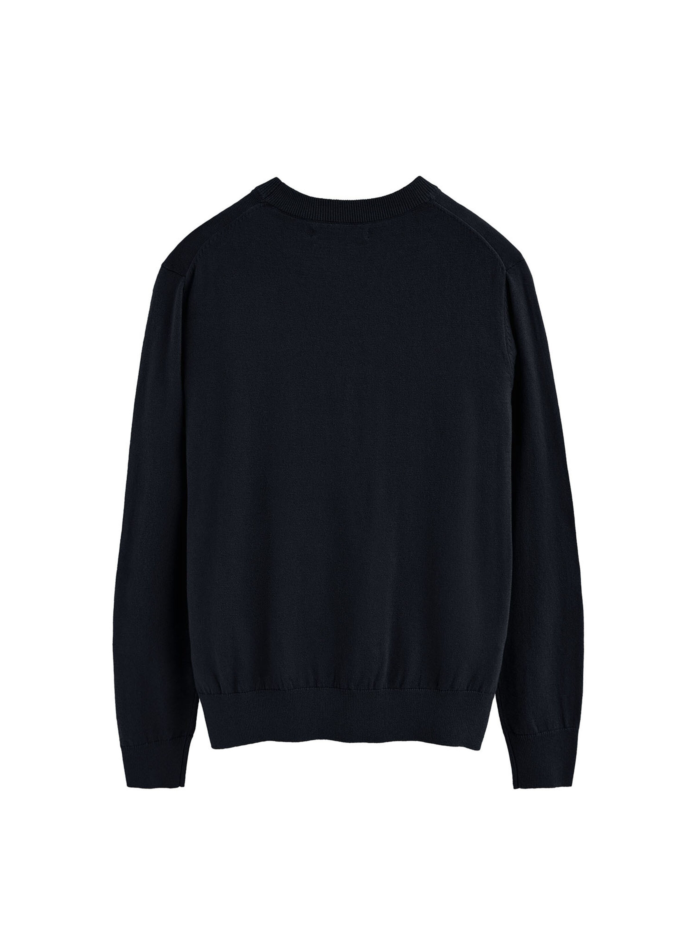 Polo Club Pullover in Blau
