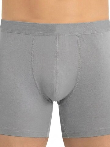 Boxers ÖTS en gris