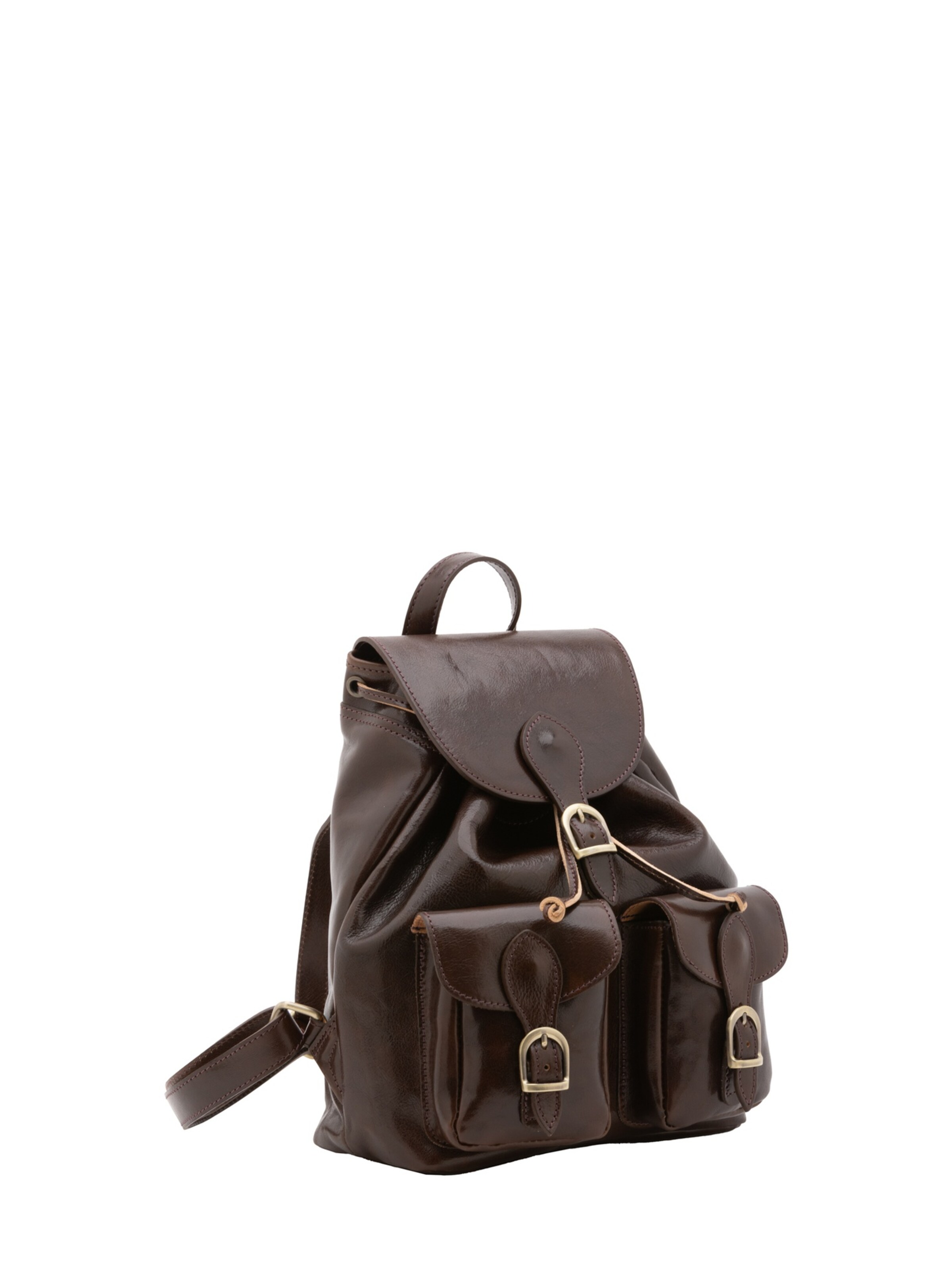 Viola Castellani Backpack in Brown: front