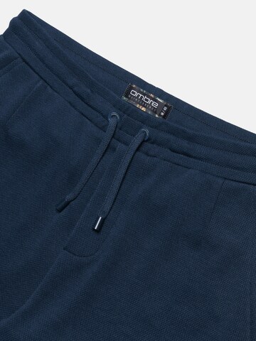 Ombre Regular Pants 'SRCS-0107' in Blue