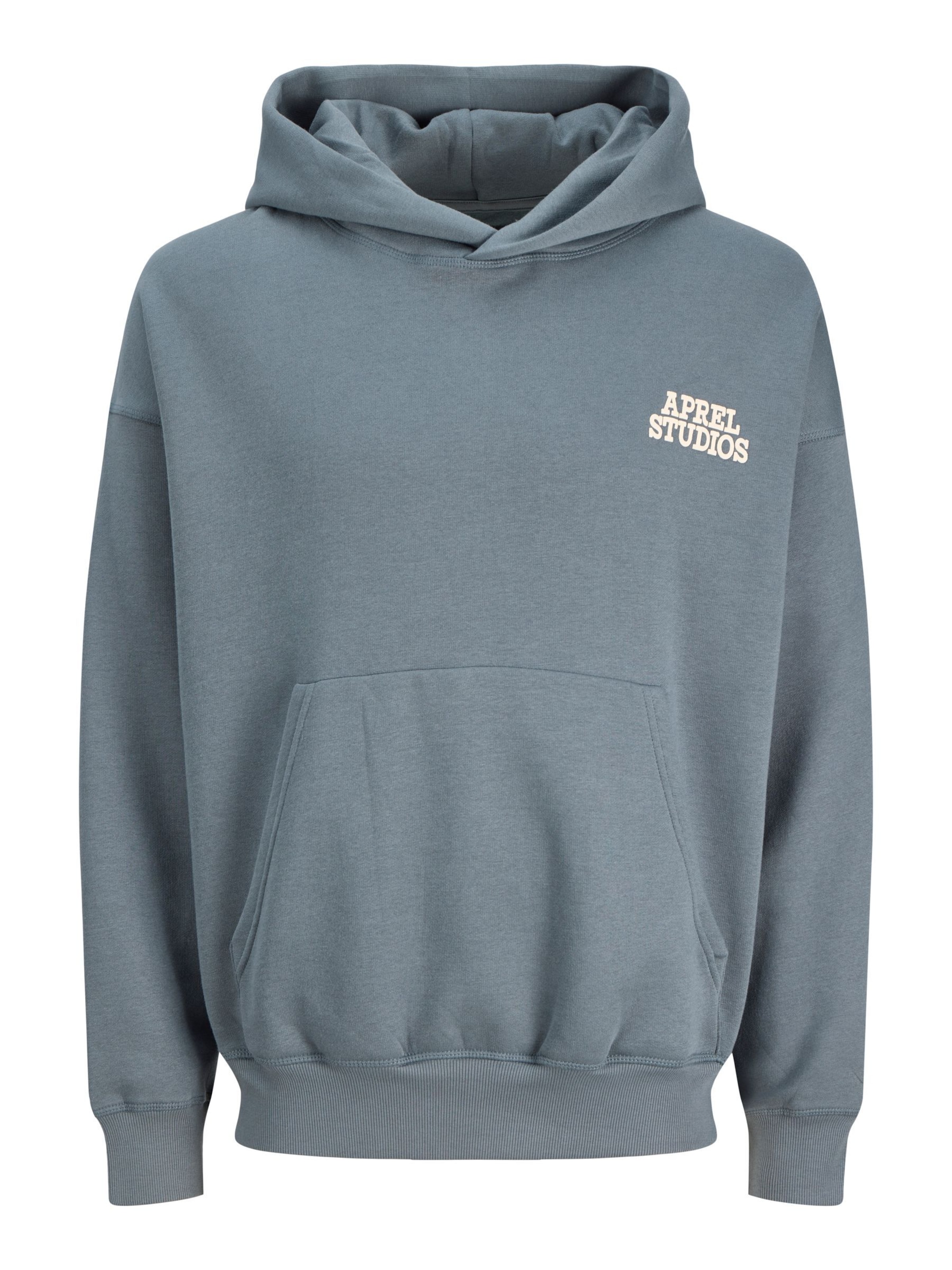 aprel - Sudadera en gris: frente