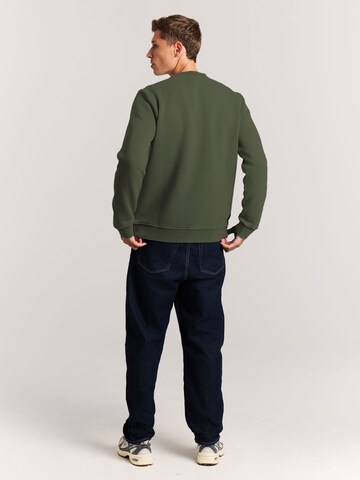 PROTEST Sweater 'PRTVito' in Green