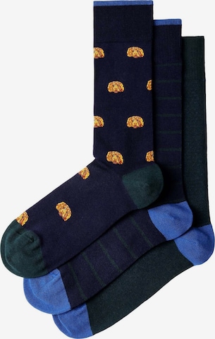 Hackett London Socken ' HARRY ' in Blau: Vorderseite