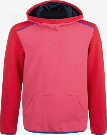 ZigZag Sweatshirt 'FINK' in Pink: front