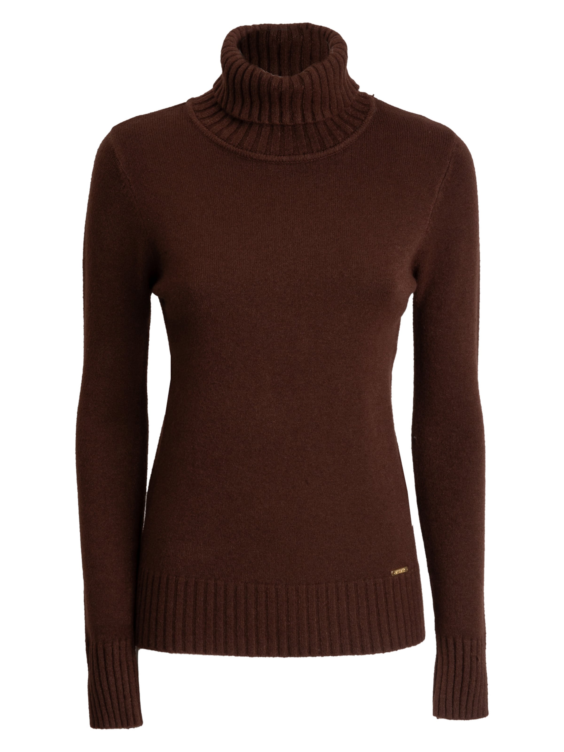 Influencer Sweater in Brown: front