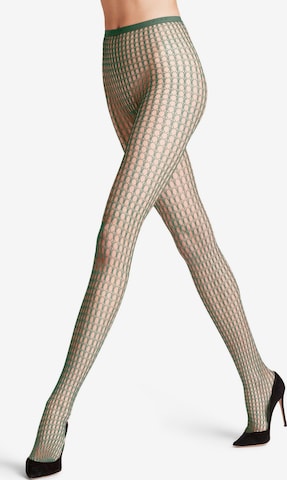 FALKE Strumpfhose 'Wicker Game' in Grün: Vorderseite