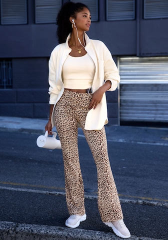 BUFFALO Flared Hose in Beige