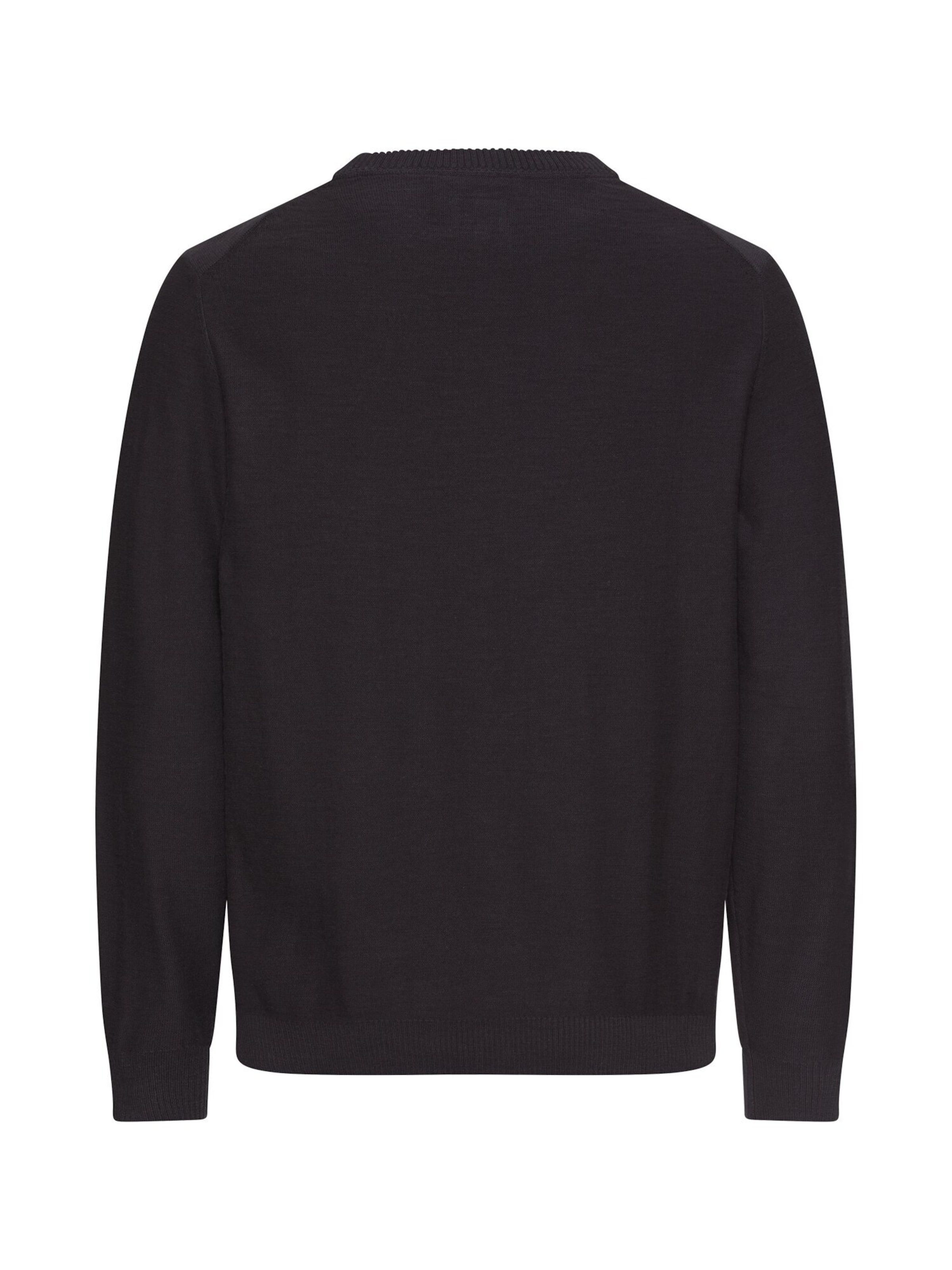 CAMEL ACTIVE Pullover in Schwarz