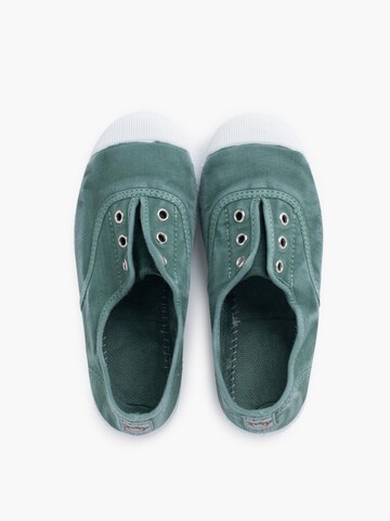 Pisamonas Sneaker‌‌‌‌‌‌‌‌‌‌ in Grün