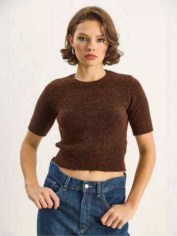 Bianco Lucci Pullover 'Pullover'‌‌‌‌‌‌‌‌‌‌ in Braun
