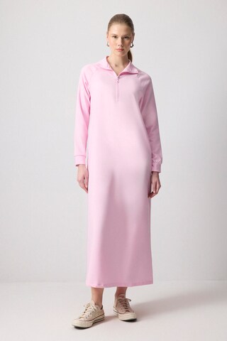 Touche Prive Dress in Pink: front
