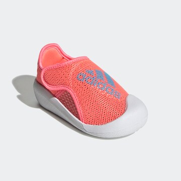 ADIDAS SPORTSWEAR Beach & Pool Shoes 'Altaventure' in Orange