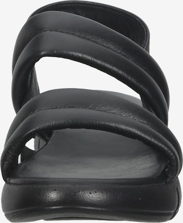 ILC Sandals in Black