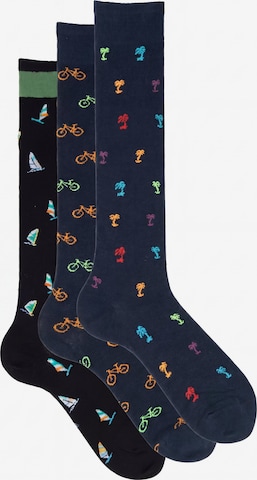 Ciocca Knee High Socks in Mixed colors: front