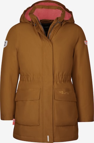 TROLLKIDS Winterjacke in Braun: Vorderseite