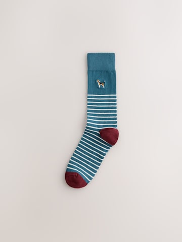 Next Socks in Mixed colours