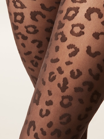 CALZEDONIA Tights in Black