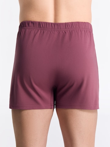 Albero Natur Boxershorts in Gold