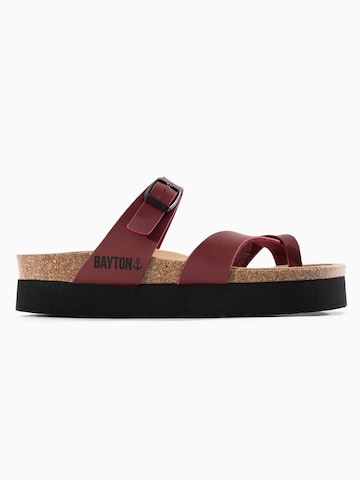 Bayton Muiltjes 'Andromac' in Rood