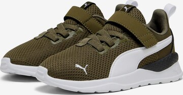 Sneaker 'Anzarun' di PUMA in verde: frontale