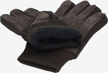 KESSLER Full Finger Gloves 'LIV' in Brown