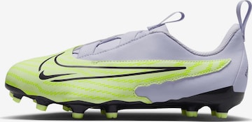 Scarpa sportiva di NIKE in verde: frontale