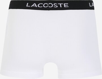 LACOSTE - Calzoncillo boxer en gris