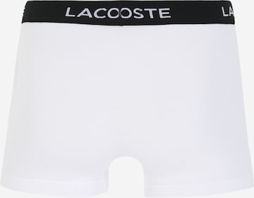 LACOSTE Boxershorts in Grau