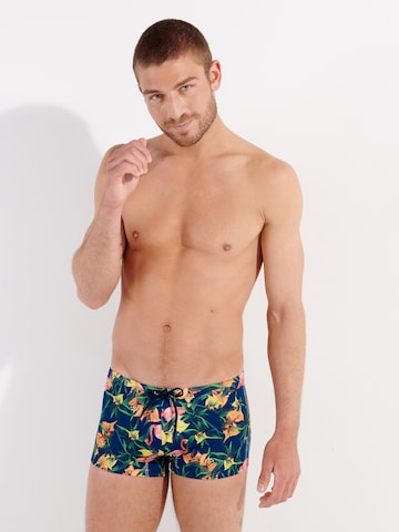 HOM Board Shorts ' Flamingo ' in Blue: front