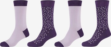 camano Socken in Lila: predná strana