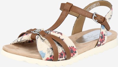 TOM TAILOR Remsandal i kräm / marinblå / brun / pitaya, Produktvy