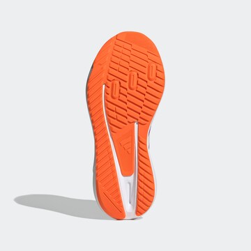 ADIDAS SPORTSWEAR Sneaker in Lila