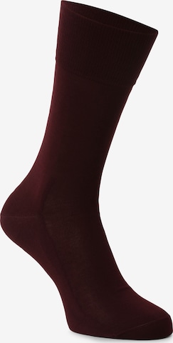 FALKE Socken in Rot: Vorderseite