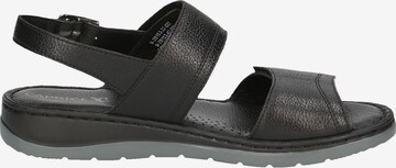 CAPRICE Sandals in Black