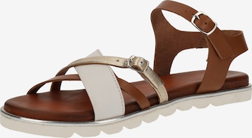 SPM Strap Sandals in Brown: front