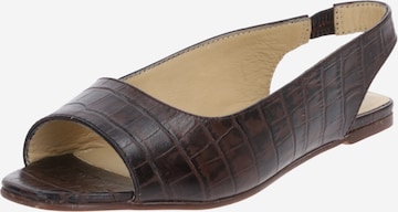 ABOUT YOU Sandals 'Lisa' in Brown: front