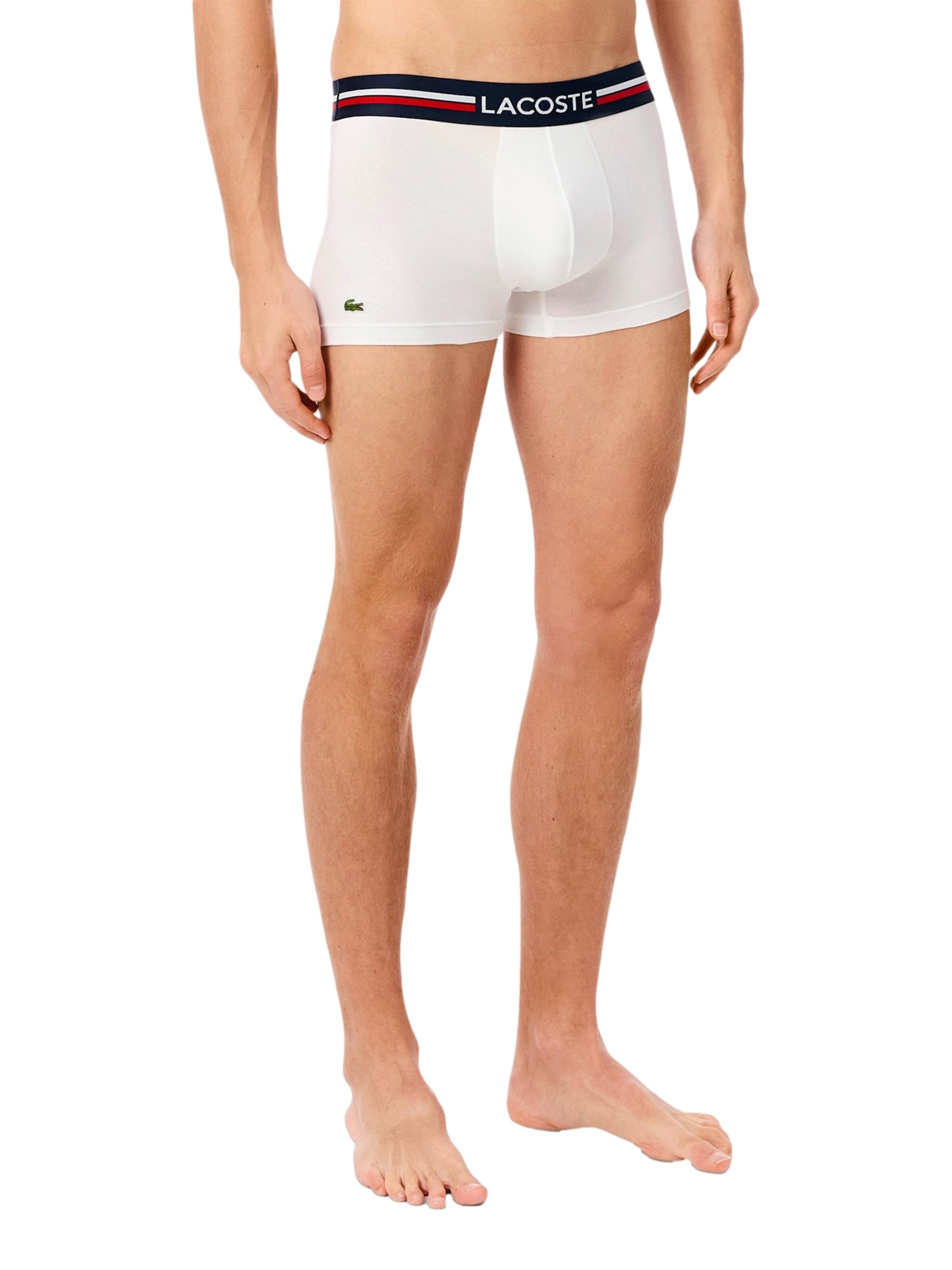 Boxer di LACOSTE in grigio