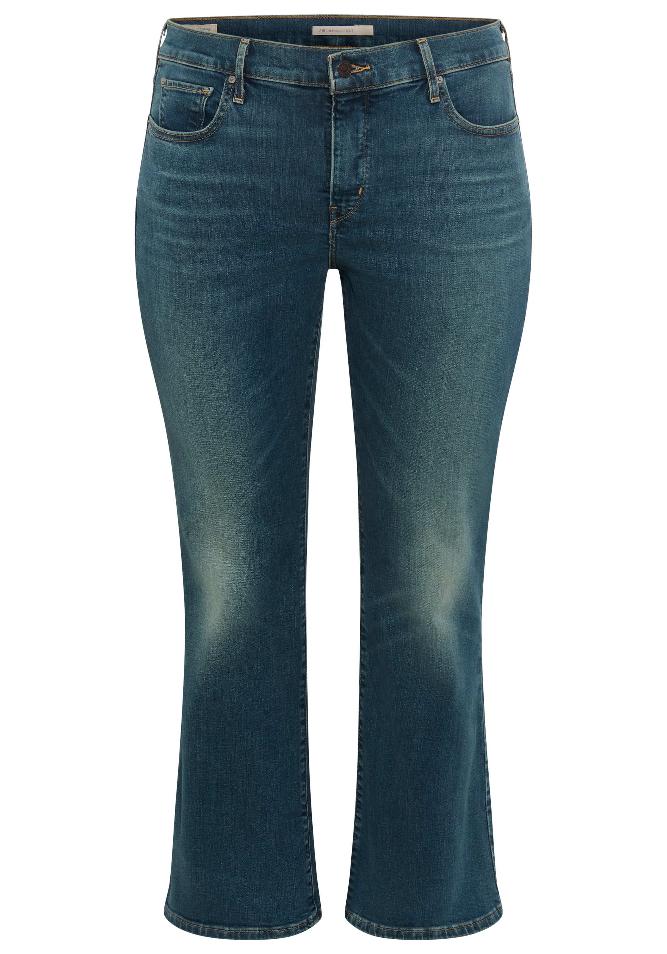 Levi's® Plus Jeans in Blue: front