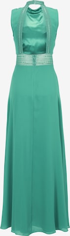 VM Vera Mont Evening Dress in Green